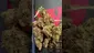 Video Thumbnail: GirlScoutCookieWeed420