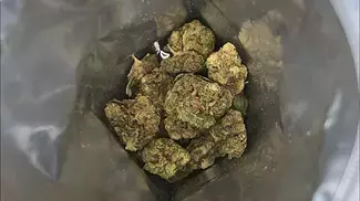 KUSH KUSH BY TOGETHER PHARMA ANDROMEDA