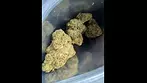 Modified gas UK medical cannabis #uk #medical