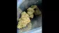 Video Thumbnail: Big Smokey Medical UK