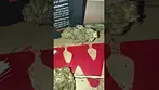 | AAAA | LOT420 | ORANGE CAKE  | UK MEDICAL CANNABIS PATIENT FLOWER VIDEO 2025 