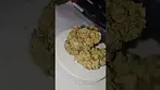 Sundaze BruceBanner T31 #medical #medicalcannabiscommunity #uk #anxiety #pain #medbud