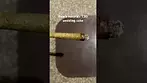 Peace naturals T30 wedding cake burn