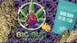 Video Thumbnail: Big Bud Reviews