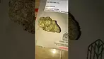  KASA VERDE | GAZZURPLE | UK MEDICAL CANNABIS PATIENT FLOWER VIDEO