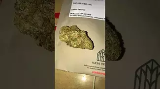  KASA VERDE | GAZZURPLE | UK MEDICAL CANNABIS PATIENT FLOWER VIDEO