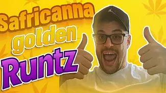 Golden Runts By Safricanna & Big Narstie UK Medical Flower Review