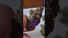 ScottiDunCanna Video Thumbnail