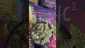 Video Thumbnail: GIggzy Medical Buds