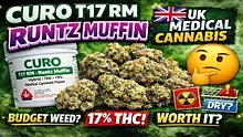 Cannabis Culture  Video Thumbnail