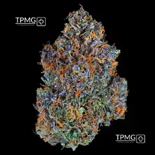 The Plug Medical Group T13 Zen Berry Medical Cannabis Flower