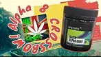 Upstate Alpha Eight (8) CROSSBOW! UK Medical cannabis