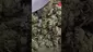 Video Thumbnail: Green Man
