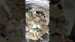 Video Thumbnail: WestPacks420