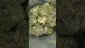Video Thumbnail: VIP THC