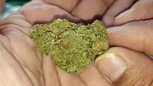 Mayor Green Video Thumbnail