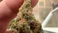 Video Thumbnail: Medical Bud Reviews