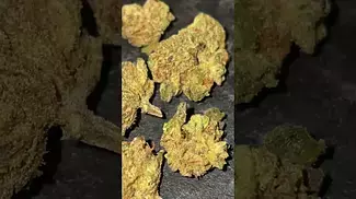 Althea - orange kush cake 18%