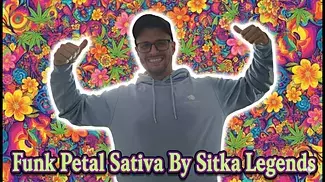 Sitka Legends Funk Petal Sativa UK Medical Flower Review