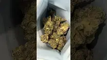 High Jack Video Thumbnail