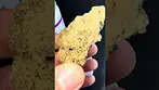 Aurora Pedanios Sourdough. 7/10 with pine, lemon and earthy hash terps.