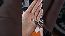 Smacksalad Video Thumbnail