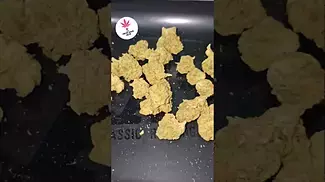 4cLabs PINK KUSH 33%  #Kush #Pink #medical