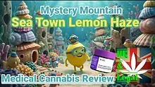 UK and Legal Video Thumbnail
