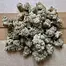 Patient Image of Cookies® C-CMI T26 Cereal Milk Medical Cannabis