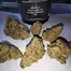 Patient Image of Good Supply Reserve CCC T27 Cherry Cheesecake Medical Cannabis