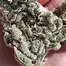 Patient Image of Noidecs T19 Gorilla Glue #4 Medical Cannabis
