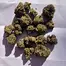 Patient Image of Sundaze® PMK T24 Permanent Marker Medical Cannabis