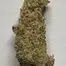 Patient Image of Kasa Verde GZP T26 Gazzurple Medical Cannabis