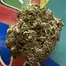Patient Image of Blod Nosda T26 French Macaron Medical Cannabis