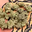 Patient Image of 4TP AFC T25 Animal Face Medical Cannabis
