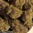 Patient Image of Mamedica® RDV T29 Red Velvet Medical Cannabis