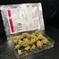 Patient Image of Noidecs T18 Peyote Critical Medical Cannabis