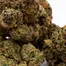 Patient Image of Dalgety KBQ T27 Korean BBQ Medical Cannabis
