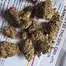 Patient Image of SafriCanna NC T23 Nag Champa Medical Cannabis
