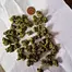 Patient Image of Big Narstie Medical PB-S Smalls T24 Papaya Bantz Medical Cannabis