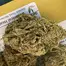 Patient Image of Tofino Ripper™ BC Craft LSO ELC LMN T21 Electric Lemon Medical Cannabis