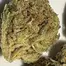 Patient Image of 4C Labs Core PGL T26 Platinum Garlic Medical Cannabis