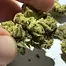 Patient Image of Glass Pharms® CC T28 Chem de la Chem Medical Cannabis