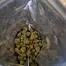 Patient Image of Petal & Bud® SANDS T12:C14 Sweet & Sour Medical Cannabis