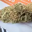 Patient Image of Clearleaf® GED T21 Gelato Dream Medical Cannabis