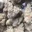 Patient Image of 4C Labs BB T23 Bubble Bath Medical Cannabis