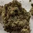 Patient Image of 4C Labs Value TRG T26 Tropicana Gold Medical Cannabis