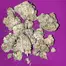 Patient Image of IPS CM T28 Cherry Mints Medical Cannabis