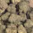 Patient Image of Scoops GCR Smalls T27 Gas Cream Cake Medical Cannabis