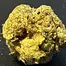 Patient Image of Peace Naturals® GMOC T30 GMO Cookies Medical Cannabis